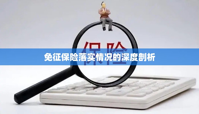免征保险落实情况的深度剖析