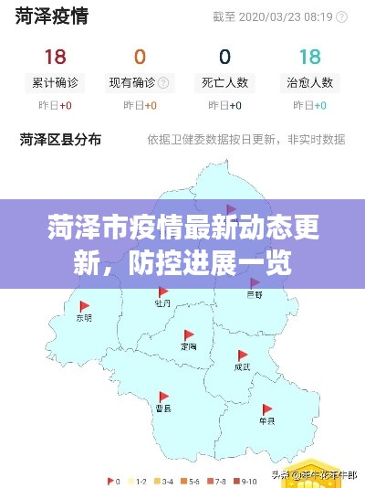 菏泽市疫情最新动态更新，防控进展一览
