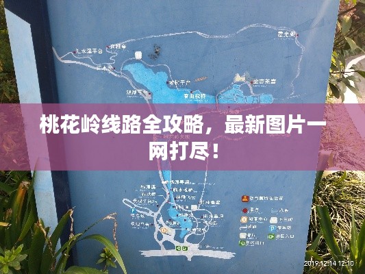 桃花岭线路全攻略,最新图片一网打尽!