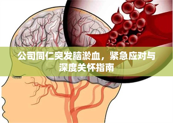 公司同仁突发脑淤血，紧急应对与深度关怀指南