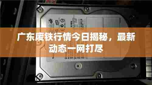 广东废铁行情今日揭秘，最新动态一网打尽