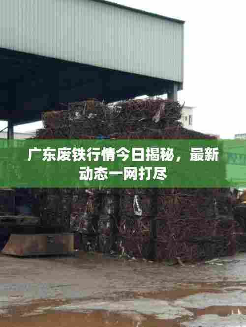 广东废铁行情今日揭秘,最新动态一网打尽