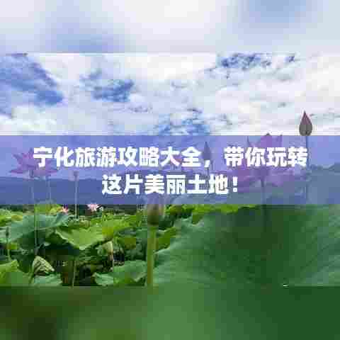 宁化旅游攻略大全，带你玩转这片美丽土地！