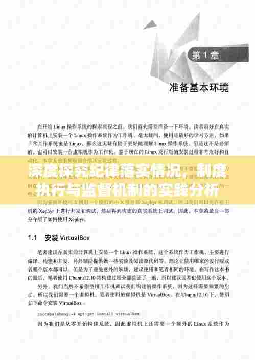 深度探究纪律落实情况，制度执行与监督机制的实践分析