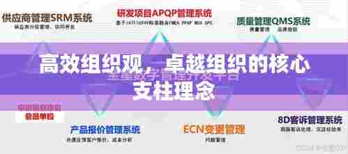 高效组织观，卓越组织的核心支柱理念