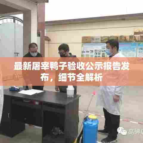 最新屠宰鸭子验收公示报告发布，细节全解析