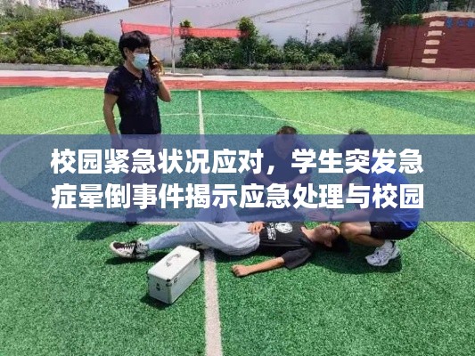 校园紧急状况应对，学生突发急症晕倒事件揭示应急处理与校园安全的重要性
