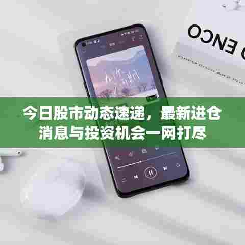 今日股市动态速递，最新进仓消息与投资机会一网打尽