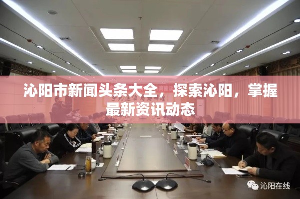沁阳市新闻头条大全，探索沁阳，掌握最新资讯动态
