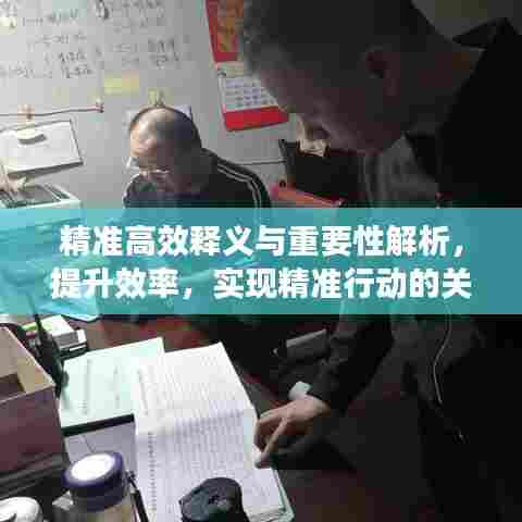 精准高效释义与重要性解析，提升效率，实现精准行动的关键所在