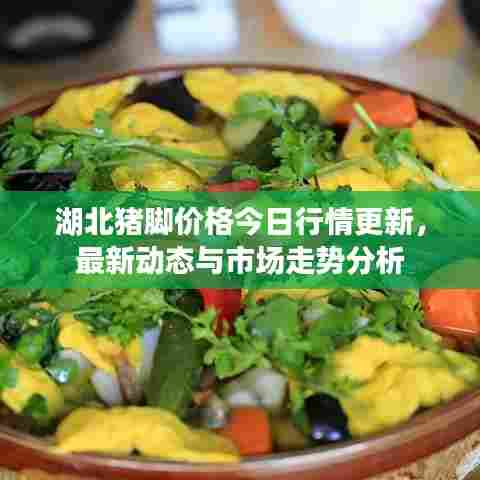 湖北猪脚价格今日行情更新，最新动态与市场走势分析