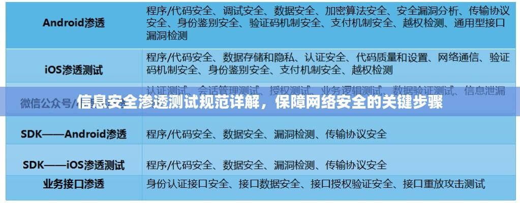 信息安全渗透测试规范详解，保障网络安全的关键步骤