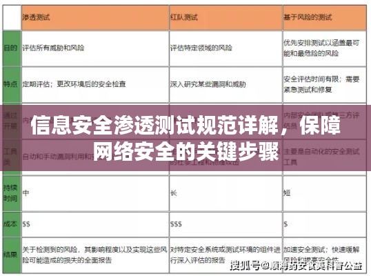信息安全渗透测试规范详解,保障网络安全的关键步骤
