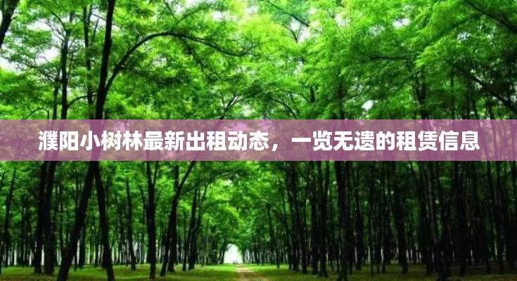 濮阳小树林最新出租动态，一览无遗的租赁信息