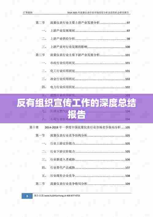 反有组织宣传工作的深度总结报告