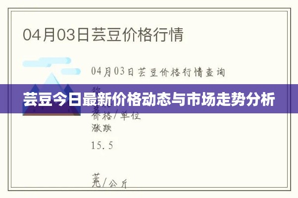 芸豆今日最新价格动态与市场走势分析