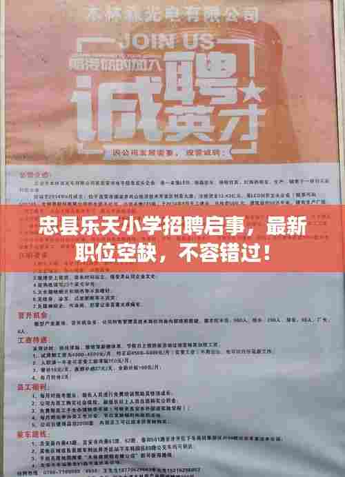 忠县乐天小学招聘启事，最新职位空缺，不容错过！