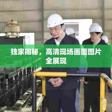 独家揭秘，高清现场画面图片全展现