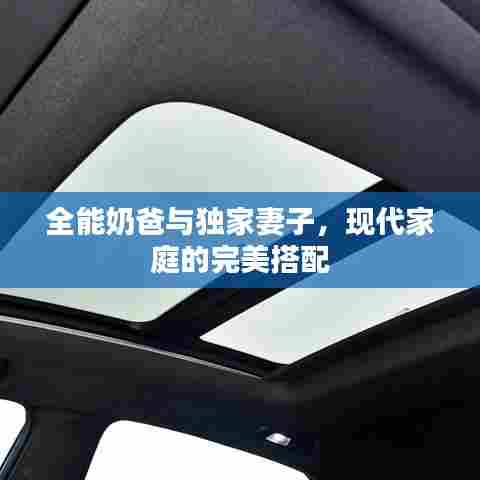 全能奶爸与独家妻子，现代家庭的完美搭配