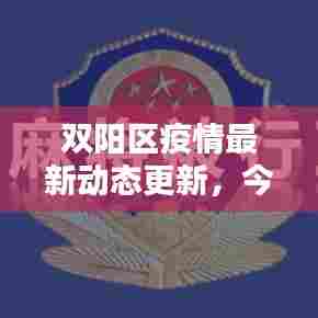 双阳区疫情最新动态更新，今日消息速递
