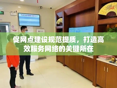 促网点建设规范提质，打造高效服务网络的关键所在