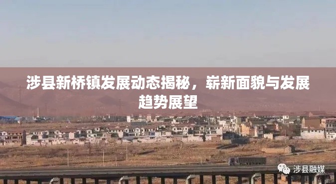 涉县新桥镇发展动态揭秘，崭新面貌与发展趋势展望
