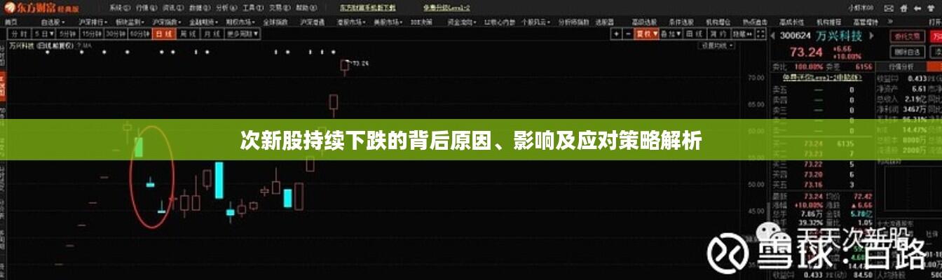 次新股持续下跌的背后原因、影响及应对策略解析