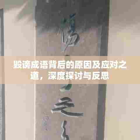 毁谤成语背后的原因及应对之道，深度探讨与反思