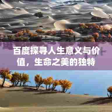 百度探寻人生意义与价值，生命之美的独特解读