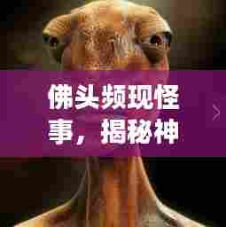 佛头频现怪事，揭秘神秘现象背后的奥秘