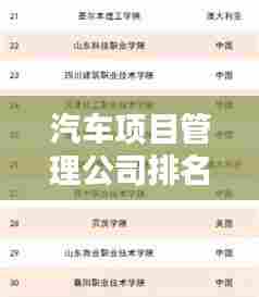 汽车项目管理公司排名揭秘，行业佼佼者影响力深度解析