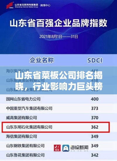 山东省菜板公司排名揭晓，行业影响力巨头榜单！