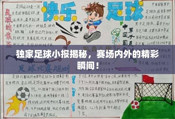 独家足球小报揭秘，赛场内外的精彩瞬间！