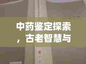 中药鉴定探索，古老智慧与现代应用的交融专题