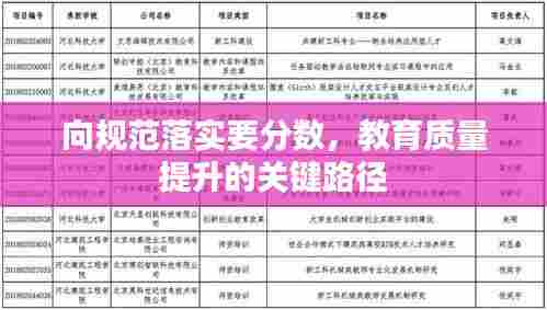 向规范落实要分数，教育质量提升的关键路径