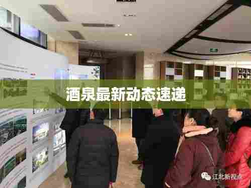 酒泉最新动态速递