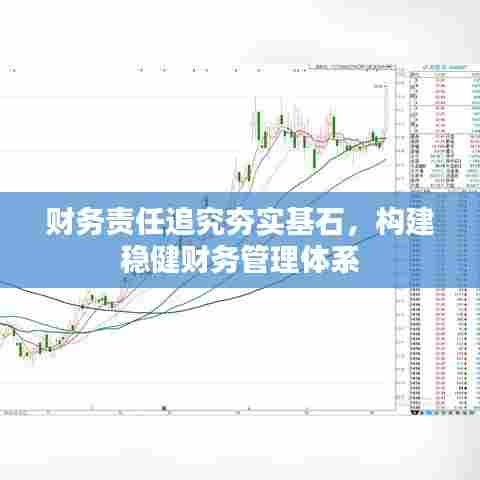 财务责任追究夯实基石，构建稳健财务管理体系