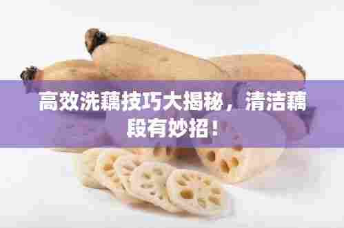 破衲疏羹 第6页