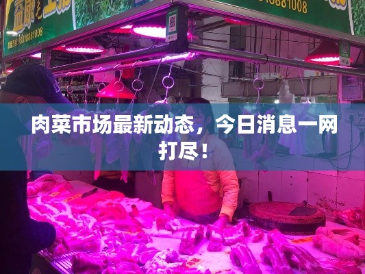 肉菜市场最新动态，今日消息一网打尽！