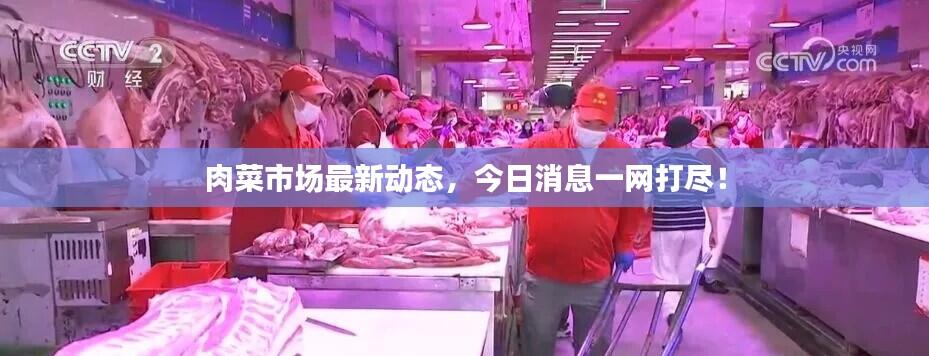 肉菜市场最新动态,今日消息一网打尽!