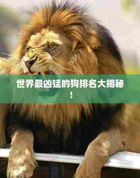 世界最凶猛的狗排名大揭秘！
