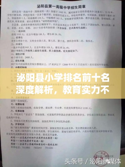 泌阳县小学排名前十名深度解析，教育实力不容小觑！