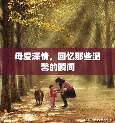 母爱深情，回忆那些温馨的瞬间