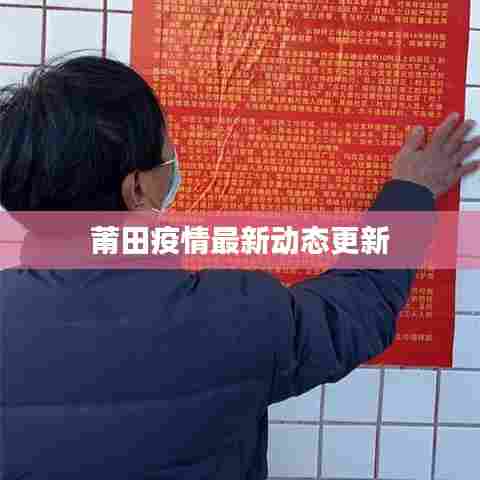 莆田疫情最新动态更新