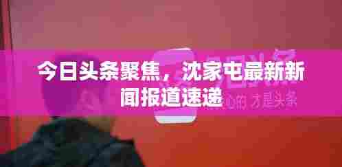 今日头条聚焦，沈家屯最新新闻报道速递