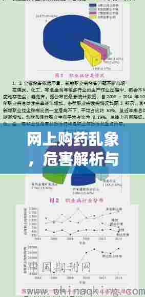 网上购药乱象，危害解析与应对策略探讨