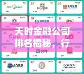 天时金融公司排名揭秘，行业领军者的成功秘诀！