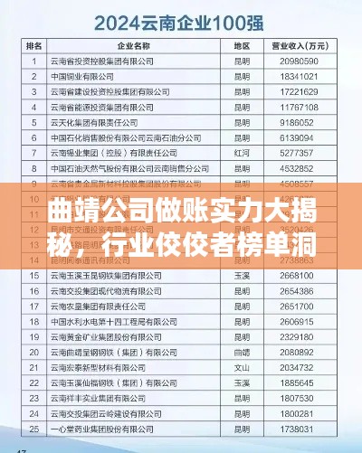 曲靖公司做账实力大揭秘,行业佼佼者榜单洞悉