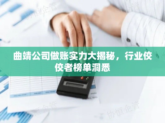 曲靖公司做账实力大揭秘,行业佼佼者榜单洞悉