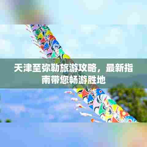 天津至弥勒旅游攻略，最新指南带您畅游胜地